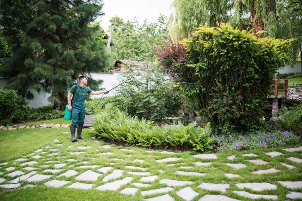 Best Pest Prevention Services  in Kent Estates, IA