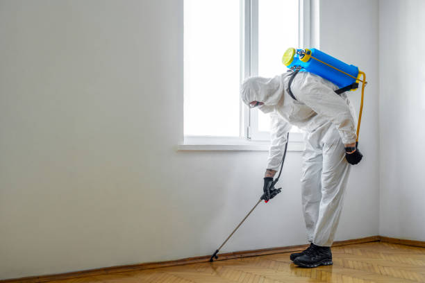 Best Best Pest Control Companies  in Kent Estates, IA