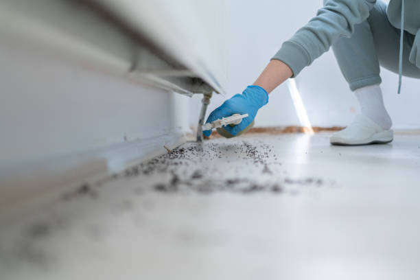 Kent Estates, IA Pest Control Company