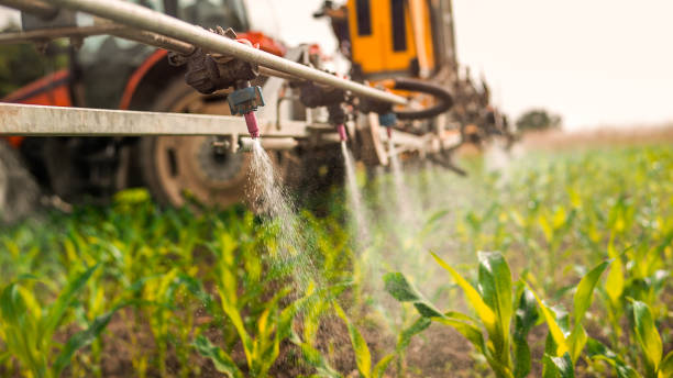Best Local Pest Control Services  in Kent Estates, IA